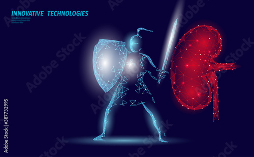 Low poly 3D human kidney shield protect. Medicine recovery technology drug medicine concept. Vector illustration