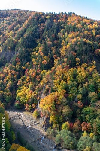 北海道の層雲峡の紅葉