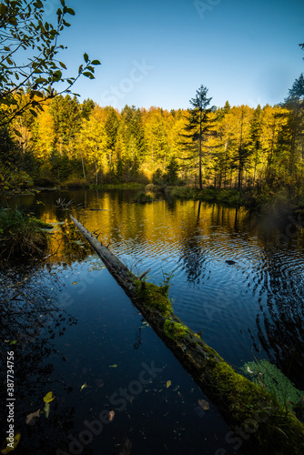 Calm mountain lake with mirror water