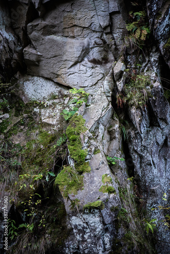 Large rocks in the mountains with texture and moss in the humid forest