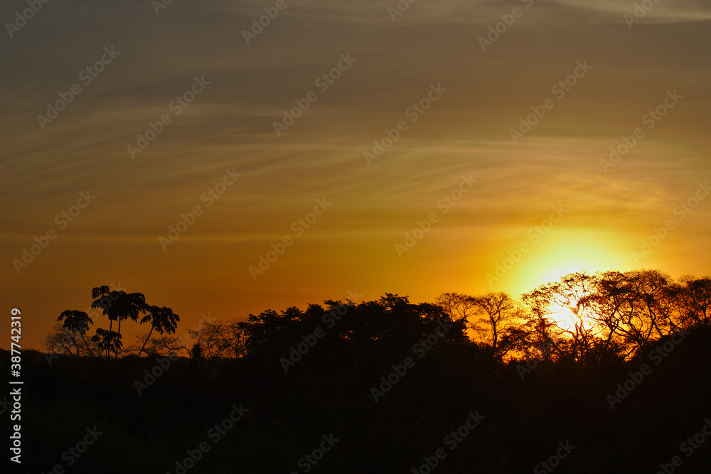 Sunrise In Brazilian Farm
Very beautiful, the sunrises in brazilian savannah has many colors.