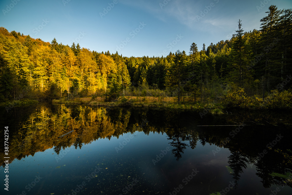 Pure calm lake in the mountains in a coniferous autumn forest Pure calm lake in the mountains in a coniferous autumn forest