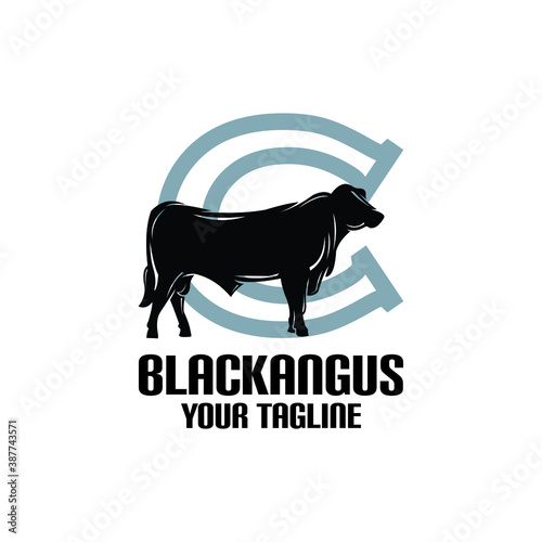 letter c black angus bull logo, vector illustrations