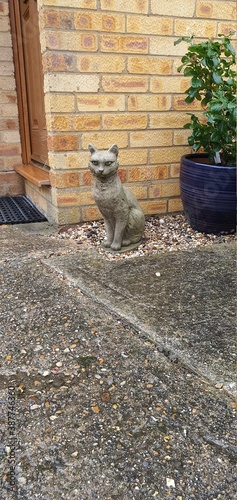 Gato Esperando