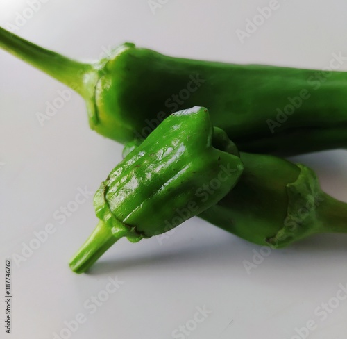 green chili peppers / pimientos de Padron