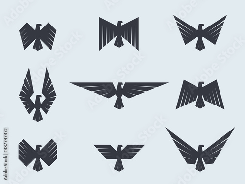 Set eagles and hawks. Eagle logo vector template.