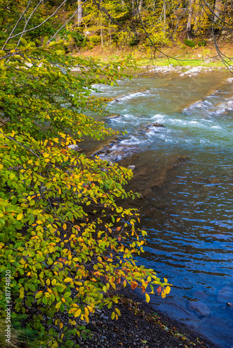 Fototapeta Naklejka Na Ścianę i Meble -  Rapid mountain river with stones through the autumn forest