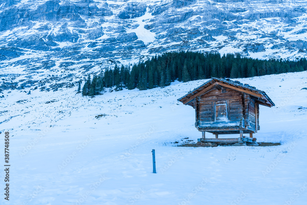 Winter landscape with snow covered peaks on Kleine Scheidegg mountain in Swiss Alps near Grindelwald, Switzerland Winter landscape with snow covered peaks on Kleine Scheidegg mountain in Swiss Alps near Grindelwald, Switzerland