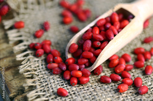 Selective focus. Macro. Barberry berries in a wooden spatula. Seasoning barberry.