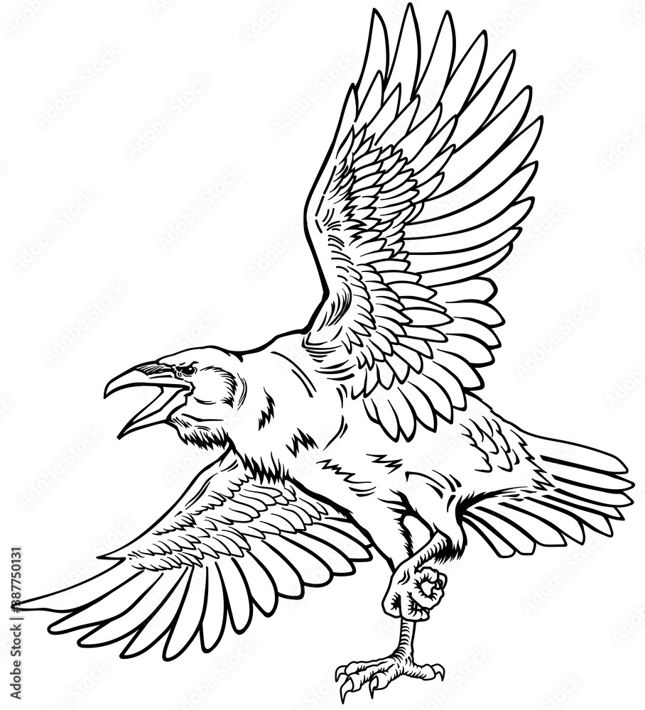Fototapeta premium A raven in flight. Flying large bird. Hand drawn crow. Outline tattoo style vector illustration