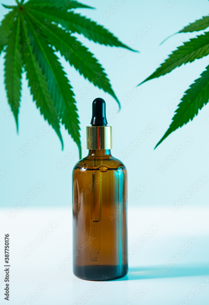 Mock up glass jar with cannabis product and hemp leaves in neon blue light, close up