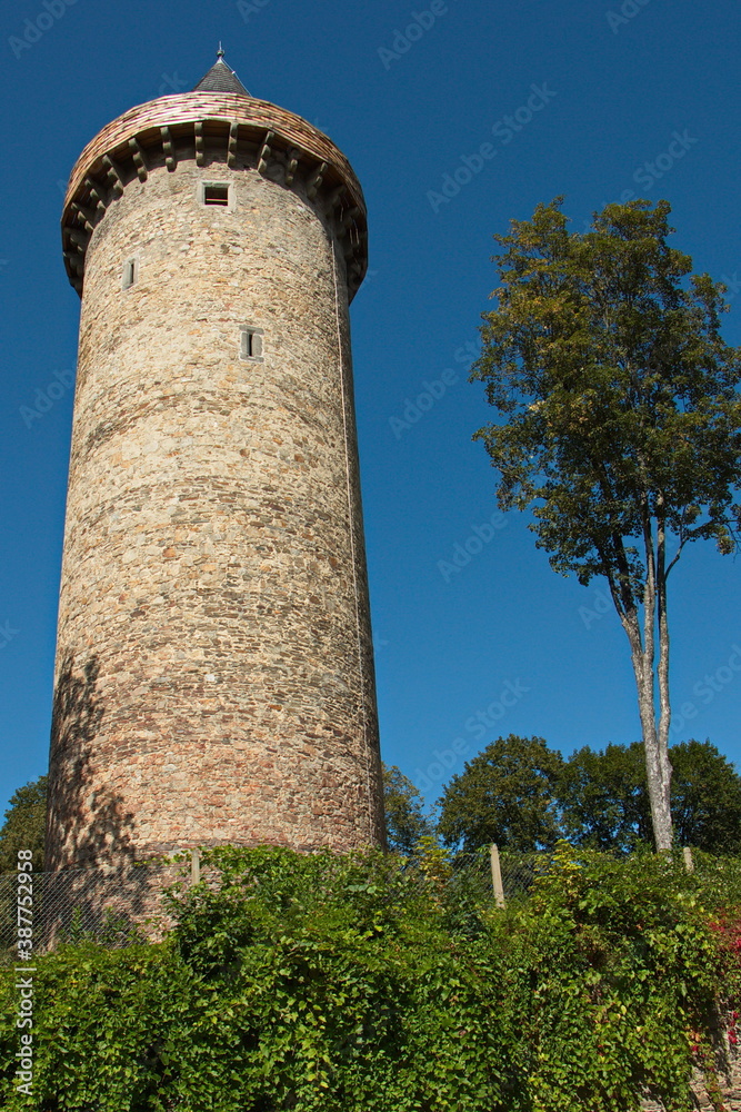 Tower Jakobinka in the castle in Rozmberk nad Vltavou,South Bohemian Region,Czech republic,Europe
