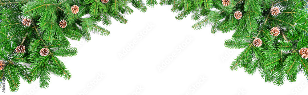 Christmas Fir Branches with Fir Cones isolated on white Background - Panorama