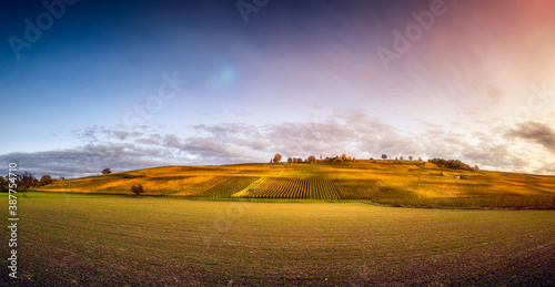 Photo of vineyards in the German region Müllheim (Baden-Württemberg), autumnal image