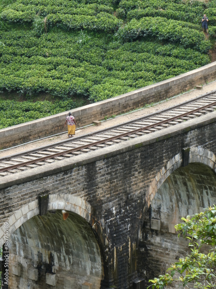 Fototapeta premium Ella train Sri lanka