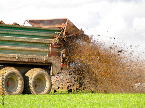 tractor throwing cow manure on a meadow in autumn in Germany photo