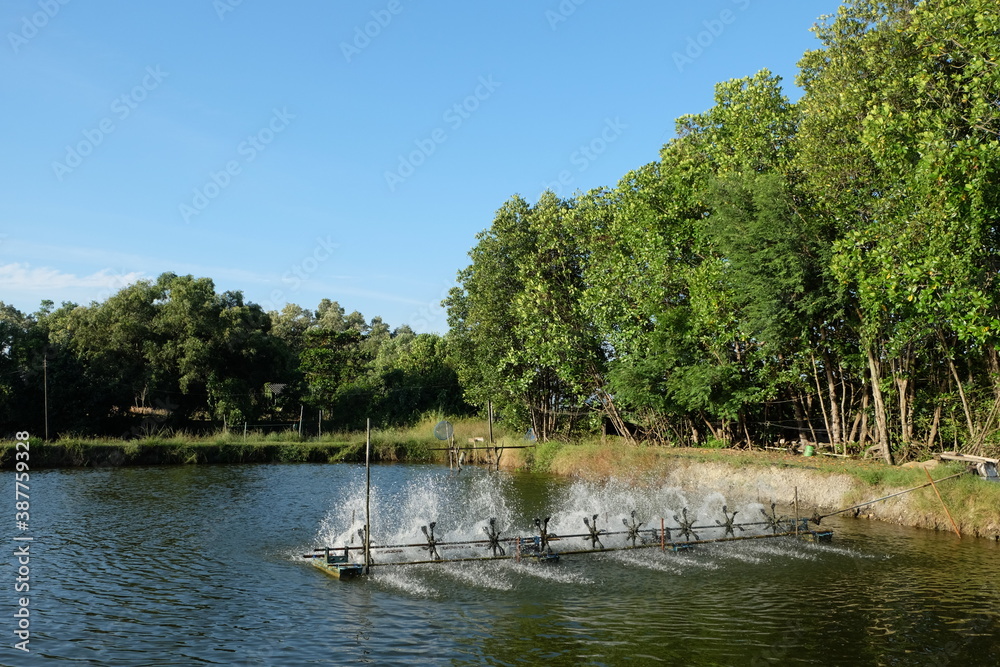 Naklejka premium Aeration machine in the shrimp pond of farmers.