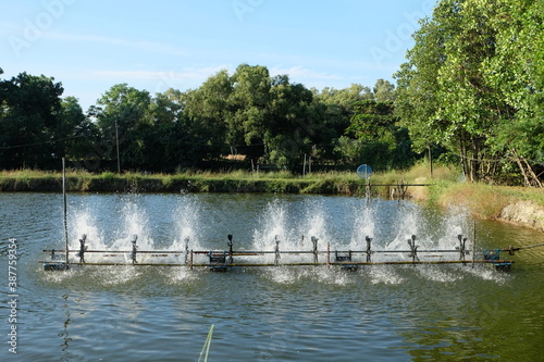 Aeration machine in the shrimp pond of farmers.
