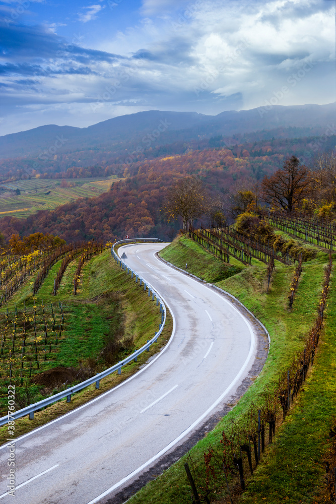 Country road in Wachau valley. Lower Austria.