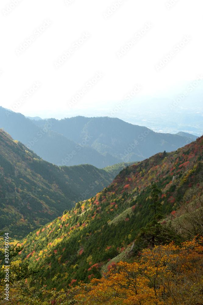 紅葉の神坂峠