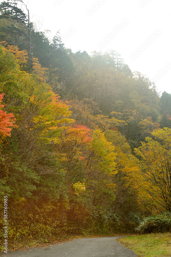 紅葉の神坂峠 紅葉の神坂峠