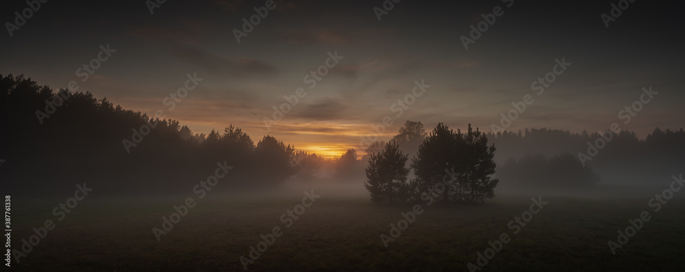 Latvia Roja. Foggy sunset over lake in forest