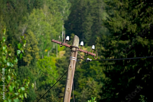 old telegraph pole on the forest background