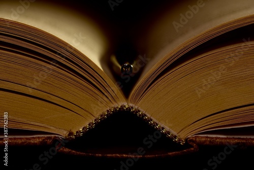 Lesen bildet
