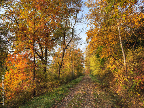 Herbstliche Farben im Taubertal bei Röttingen © ah photodesign