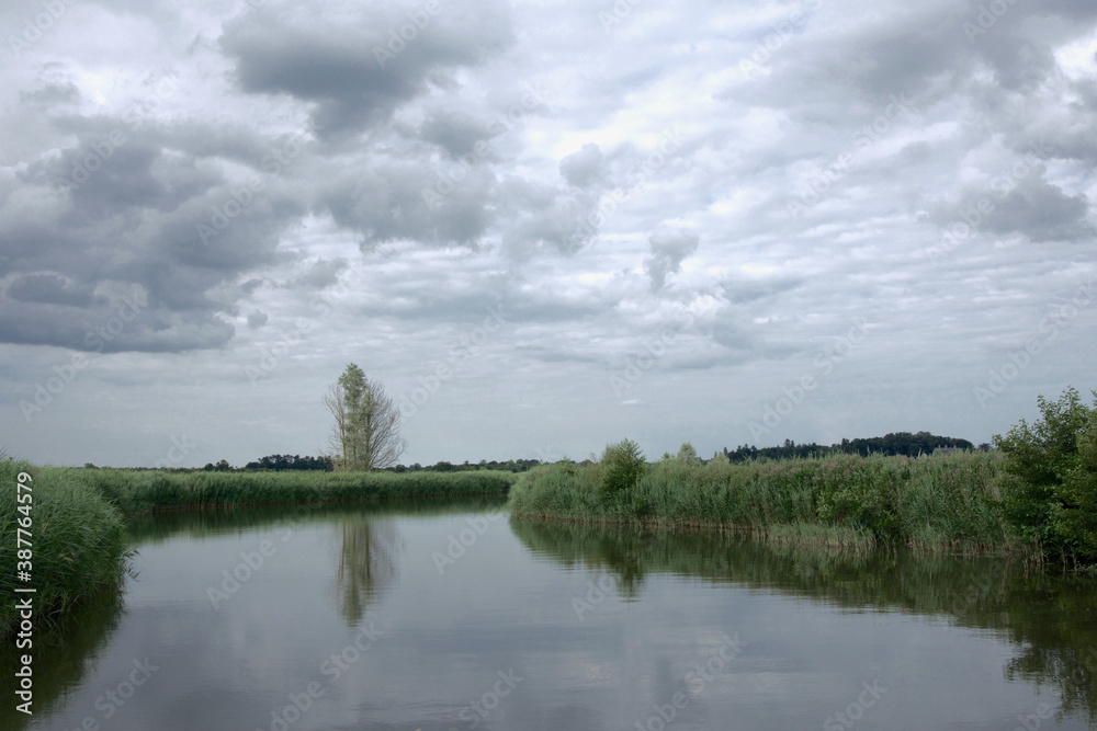 Reflections of a tree and reedbeds on river on a calm, tranquil day