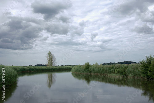 Fototapeta Naklejka Na Ścianę i Meble -  Reflections of a tree and reedbeds on river on a calm, tranquil day