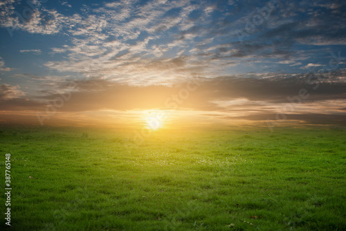 sunset in the field