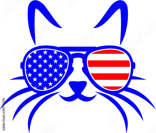 Vector illustration of the cat with USA sunglasses