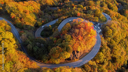 いろは坂　空撮