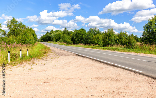 Asphalt road in the countryside among the trees