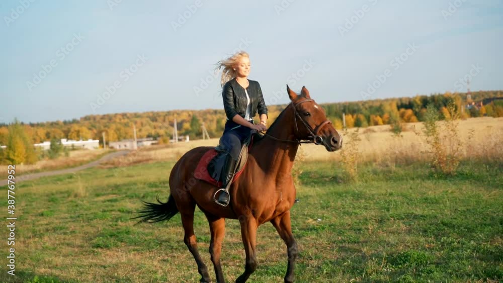 Beautiful woman with a horse. Girl in a leather jacket riding a horse. Beautiful woman with a horse. Girl in a leather jacket riding a horse.