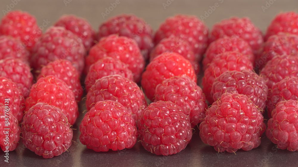 Raspberries Selective Focus, front view, wide image Raspberries Selective Focus, front view, wide image
