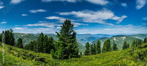 Panoramic landscape view on mountain range with coniferous forest in wild taiga, Siberia, Russia