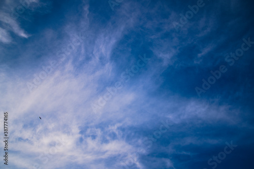 Błękitne niebo z chmurami i ptakiem. © Rafal