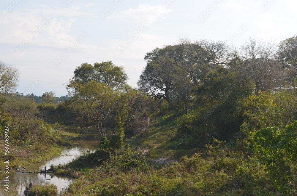 Obraz premium rio negro