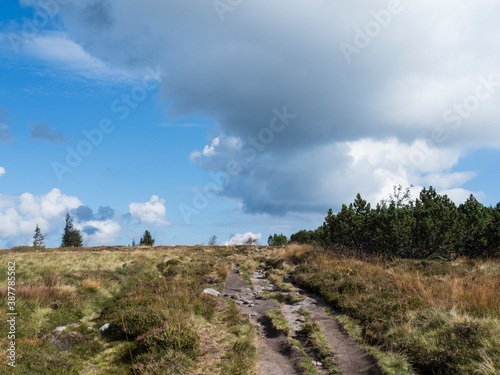 Paysage de Montage  Gazon du Faing  Vosges  France