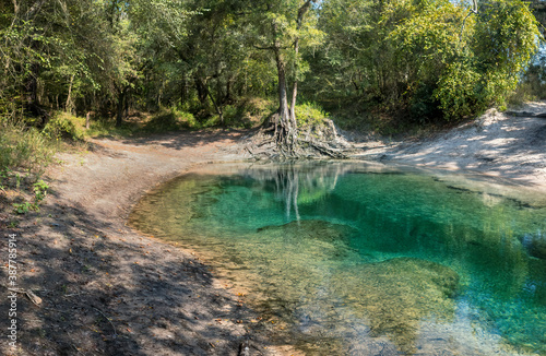 Telford Springs, Luraville, Suwannee County, Florida photo