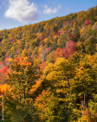 Layers of colorful trees close to peak fall foliage on a beautiful autumn day. Catskill Mountains, New York