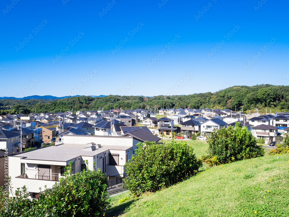 Obraz premium 青空が広がる郊外の新興住宅街 東京