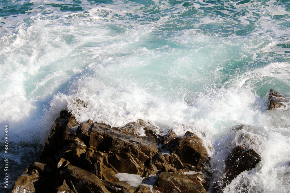 Schiuma di mare con roccia