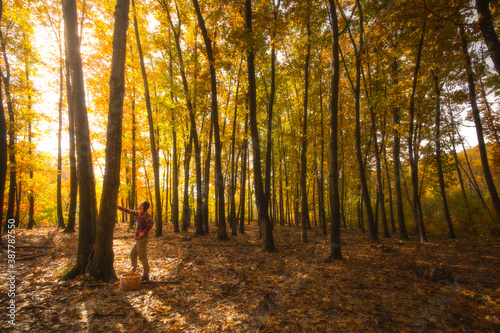 Man touching a tree during autumn season, with a basket close to his feet and the sunligh shining trough the trees
