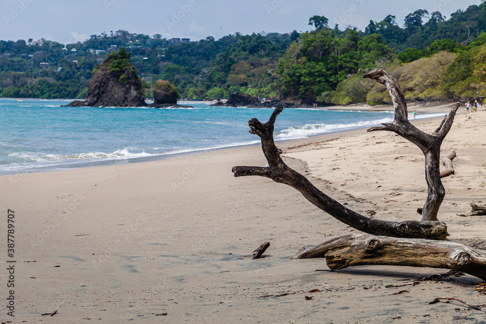 Fototapeta premium The overwhelming beauty of the flora and fauna of Costa Rica. Photos taken during a tour through this beautiful country,