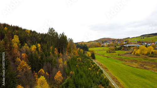 Drone view over a forest destroyed by bark beetle in the wittgenstein area, Germany