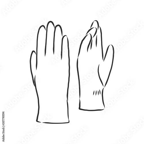 Sketch of winter gloves, vector illustration isoltaed on white background, pair of gloves, gloves, vector sketch illustration