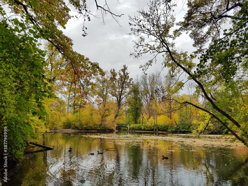 autumn in the park,herbst, fall, baum, natur, blatt, baum, wald, gelb, blatt, park, landschaft, green, ahorn, laub, rot, jahreszeit, bunt, farbe, himmel, orange, wasser, garden, see, holz, eiche